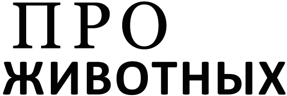 Лого1